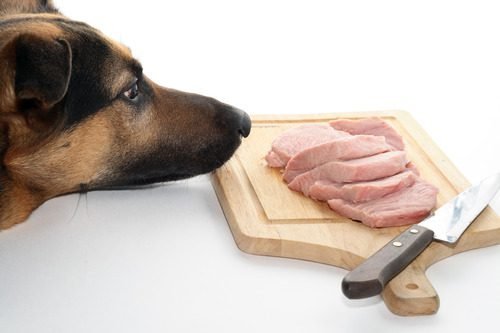Can Dogs Eat Ham
