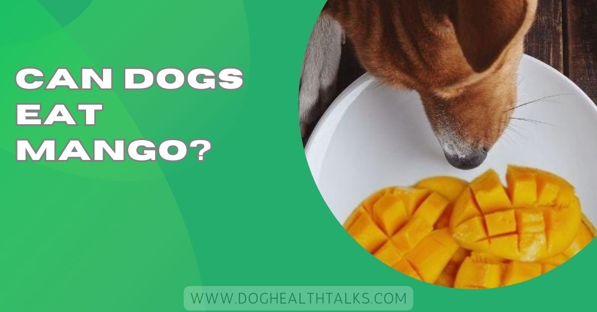Can Dogs Eat Mango?