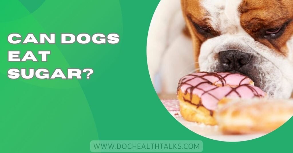 Can Dogs Eat Sugar?