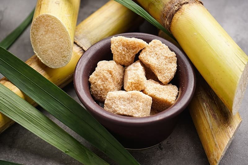 Can Dogs Eat Sugar Cane