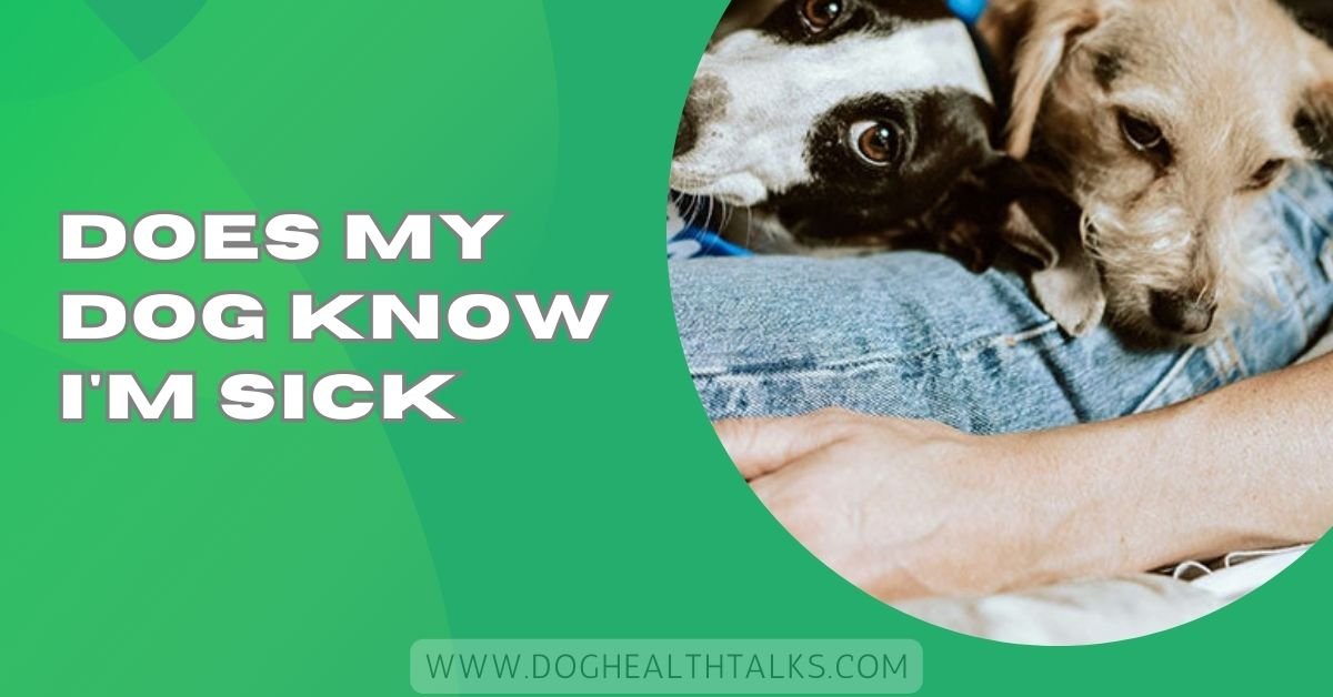 Does My Dog Know I'm Sick