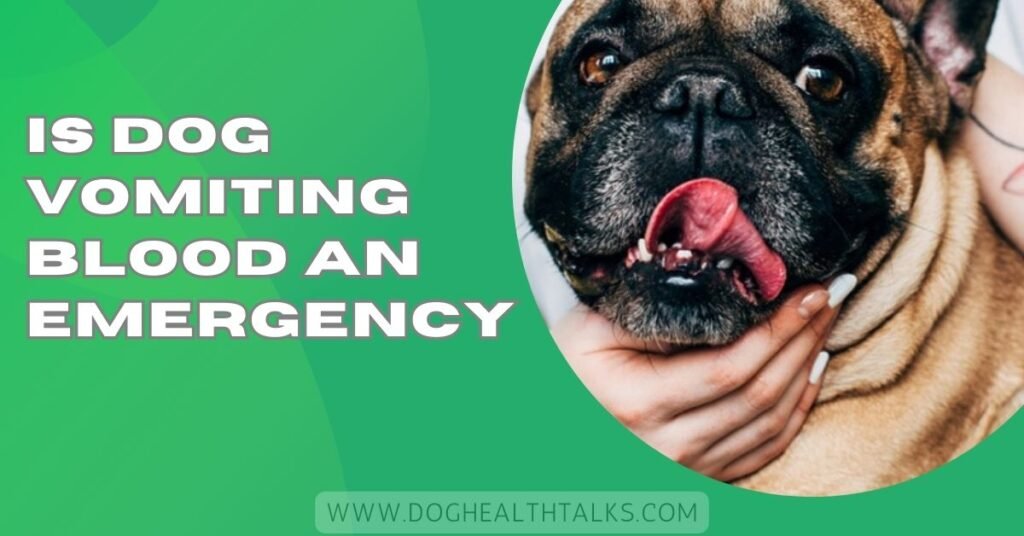 Is Dog Vomiting Blood An Emergency