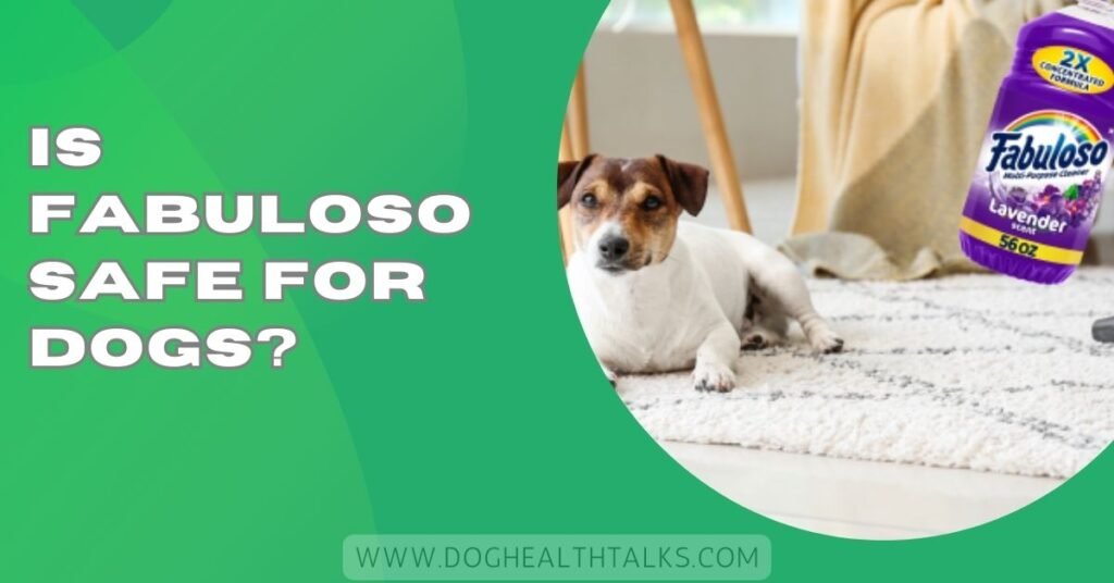Is Fabuloso Safe For Dogs?