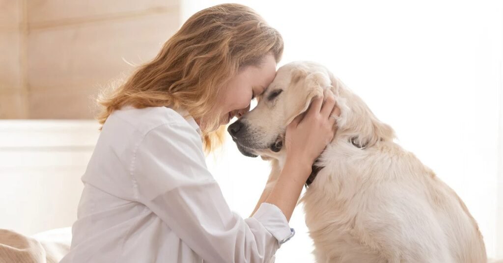 Why Do Dogs Comfort Sick People?
