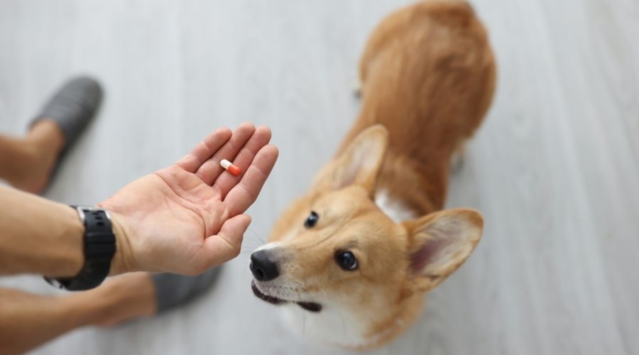 Aspirin Drug Interactions