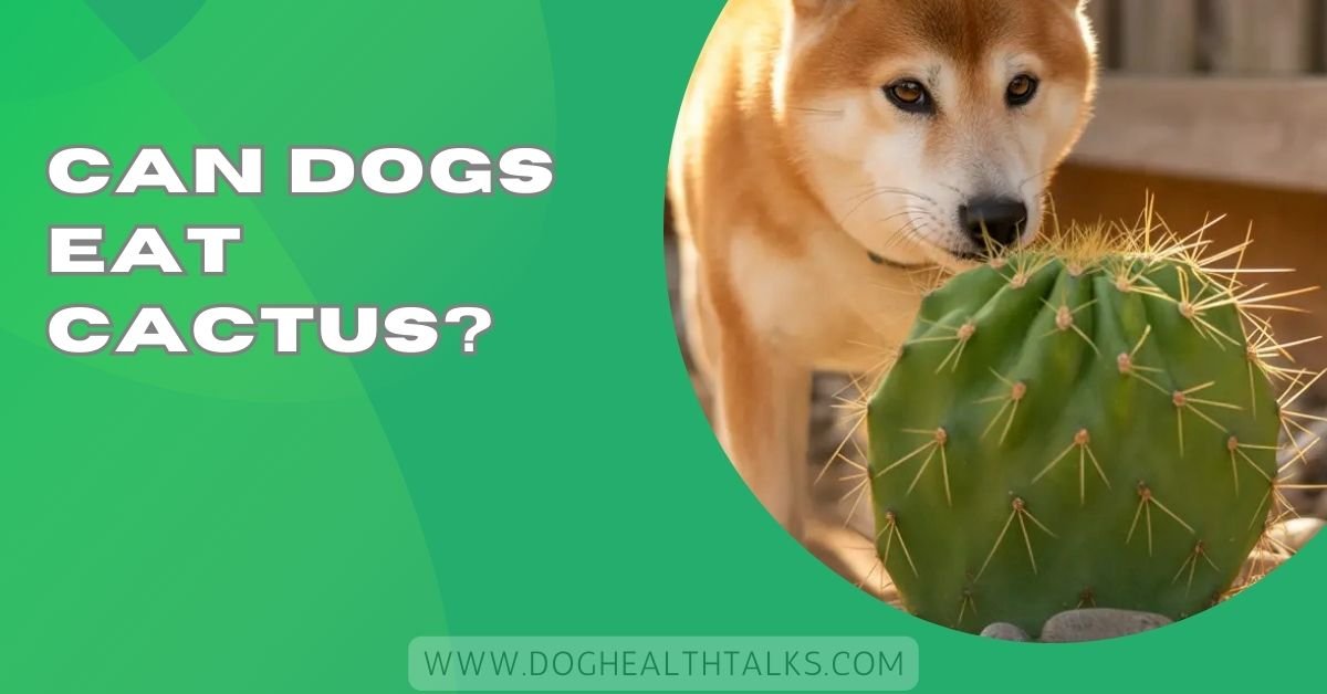 Can Dogs Eat Cactus?