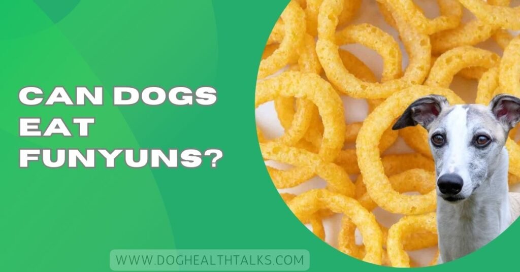 Can Dogs Eat Funyuns?