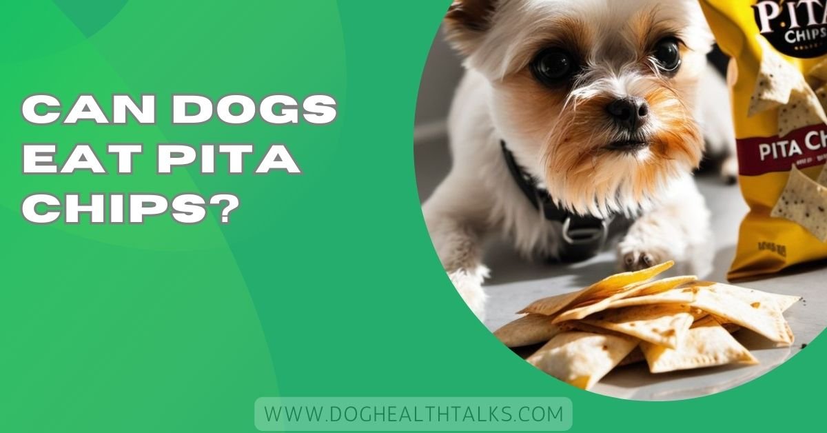 Can Dogs Eat Pita Chips?