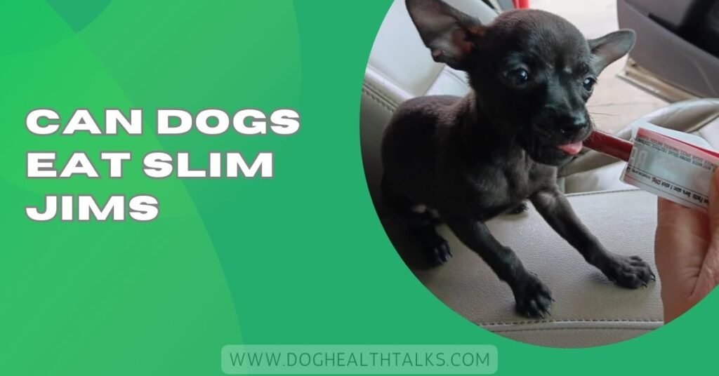 Can Dogs Eat Slim Jims