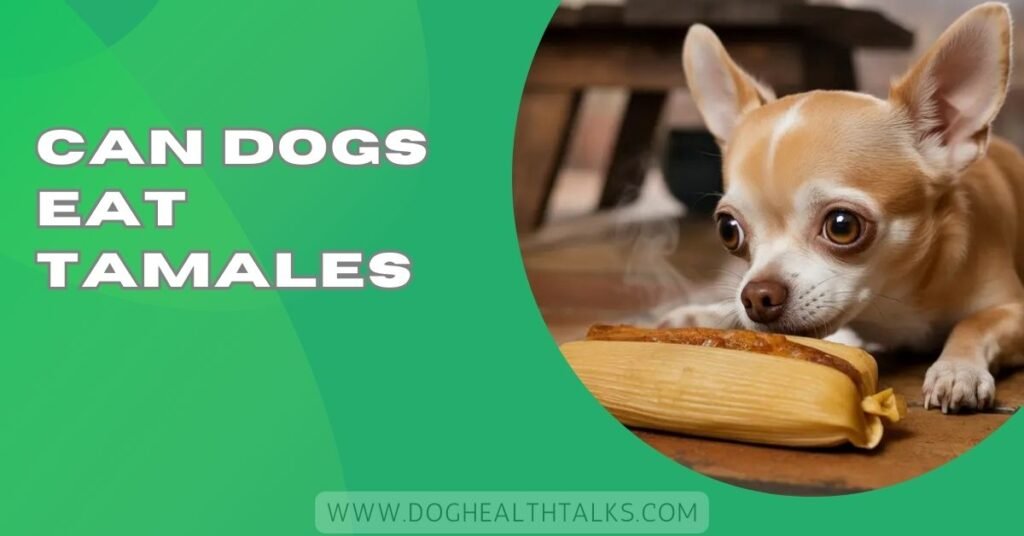 Can Dogs Eat Tamales