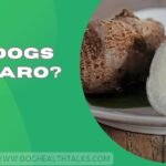 Can Dogs Eat Taro?