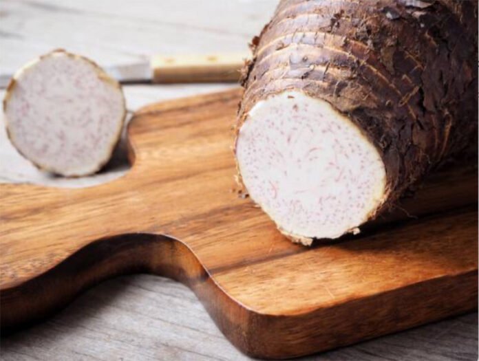 Can Dogs Eat Taro Safely?