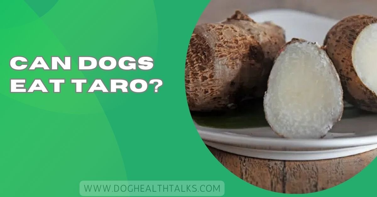 Can Dogs Eat Taro? – Don’t Miss This Expert Advice!