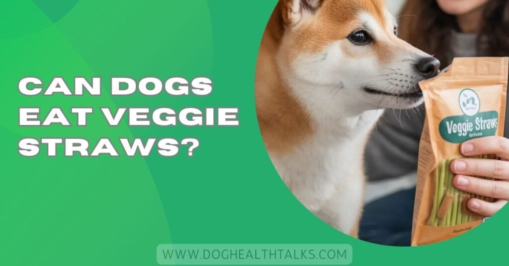 Can Dogs Eat Veggie Straws?