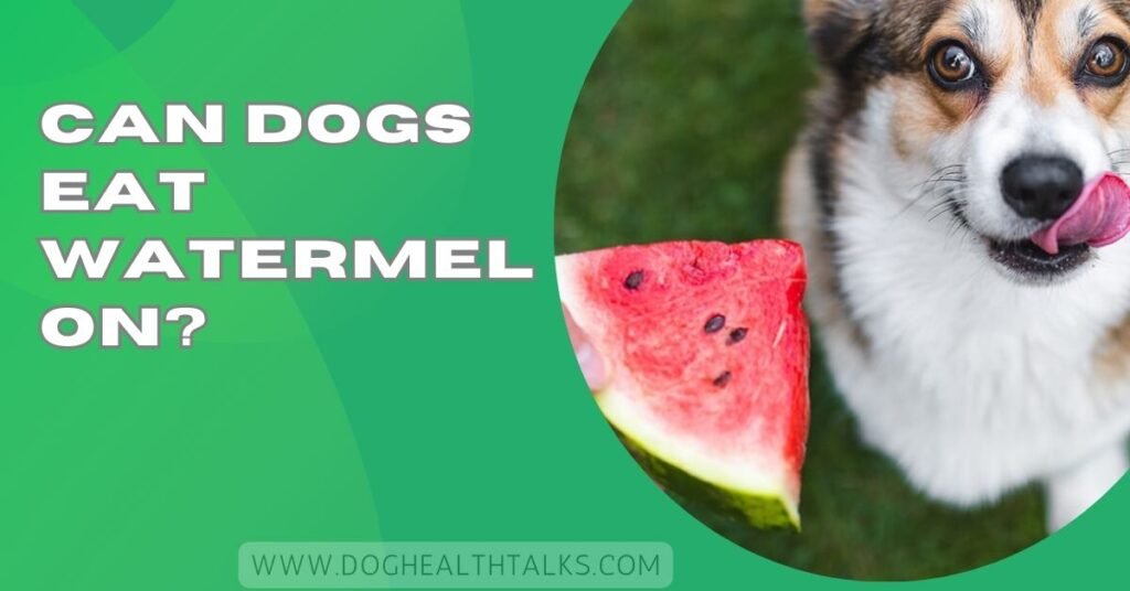 Can Dogs Eat Watermelon?