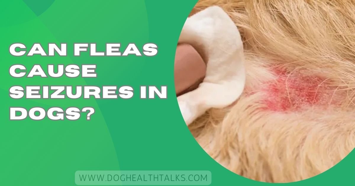 Can Fleas Cause Seizures in Dogs?