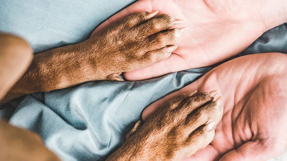 Causes of Weak or Brittle Nails