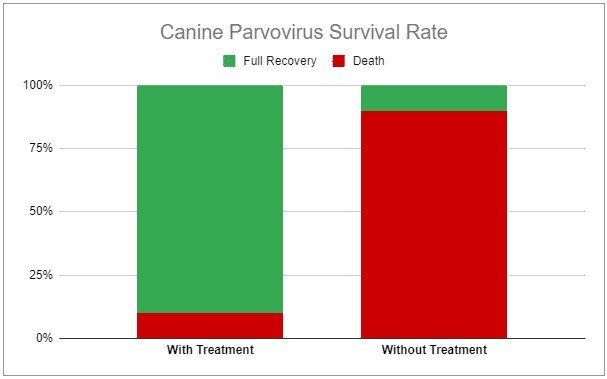 Chances Of Parvo After Second Shot
