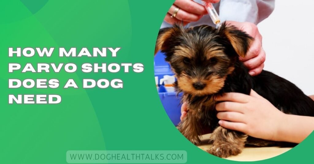 How Many Parvo Shots Does a Dog Need