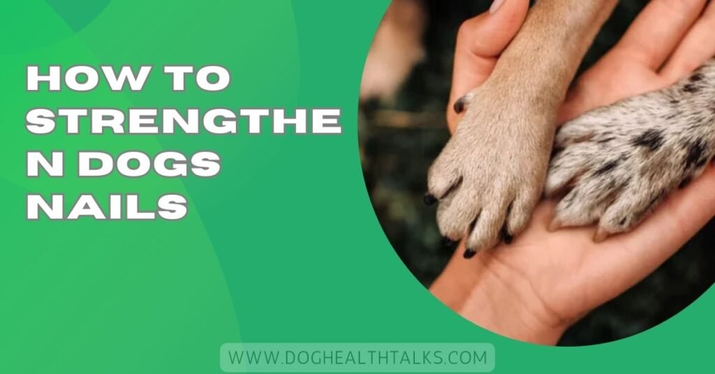 How To Strengthen Dogs Nails