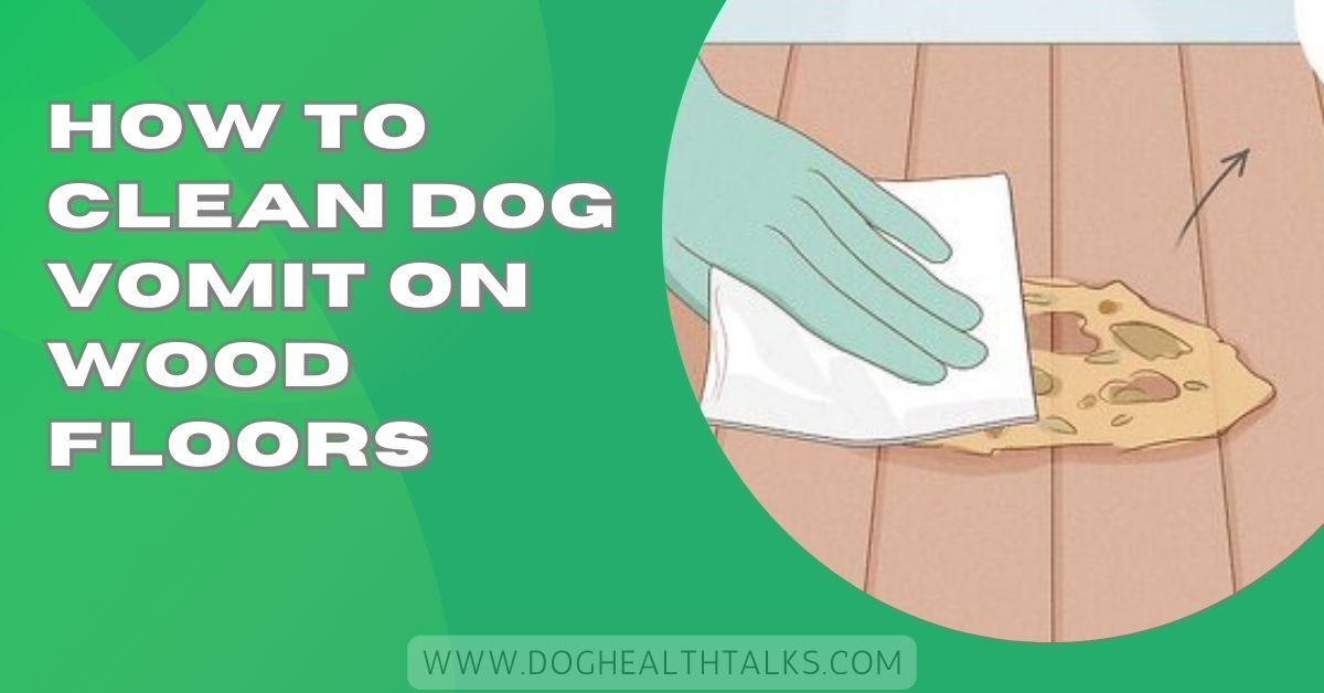 How to Clean Dog Vomit on Wood Floors