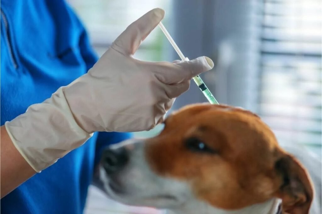 Is Cytopoint Safe for Dogs?
