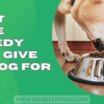 What Home Remedy Can I Give My Dog For Gas