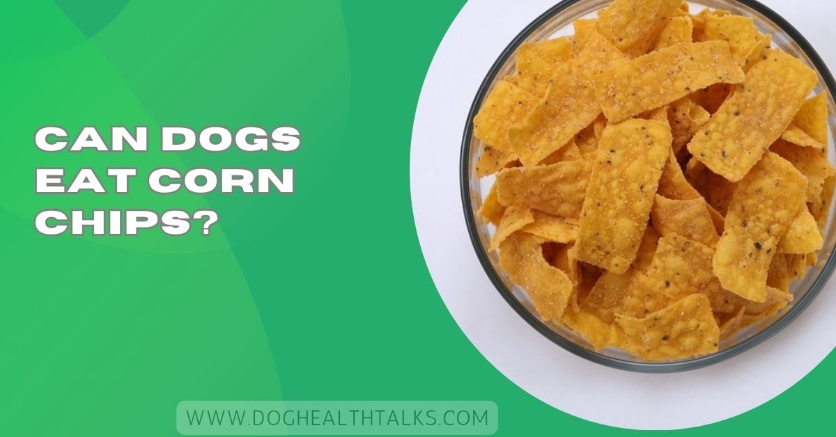 Can Dogs Eat Corn Chips?