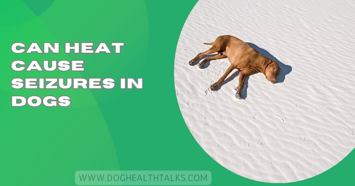 Can Heat Cause Seizures In Dogs