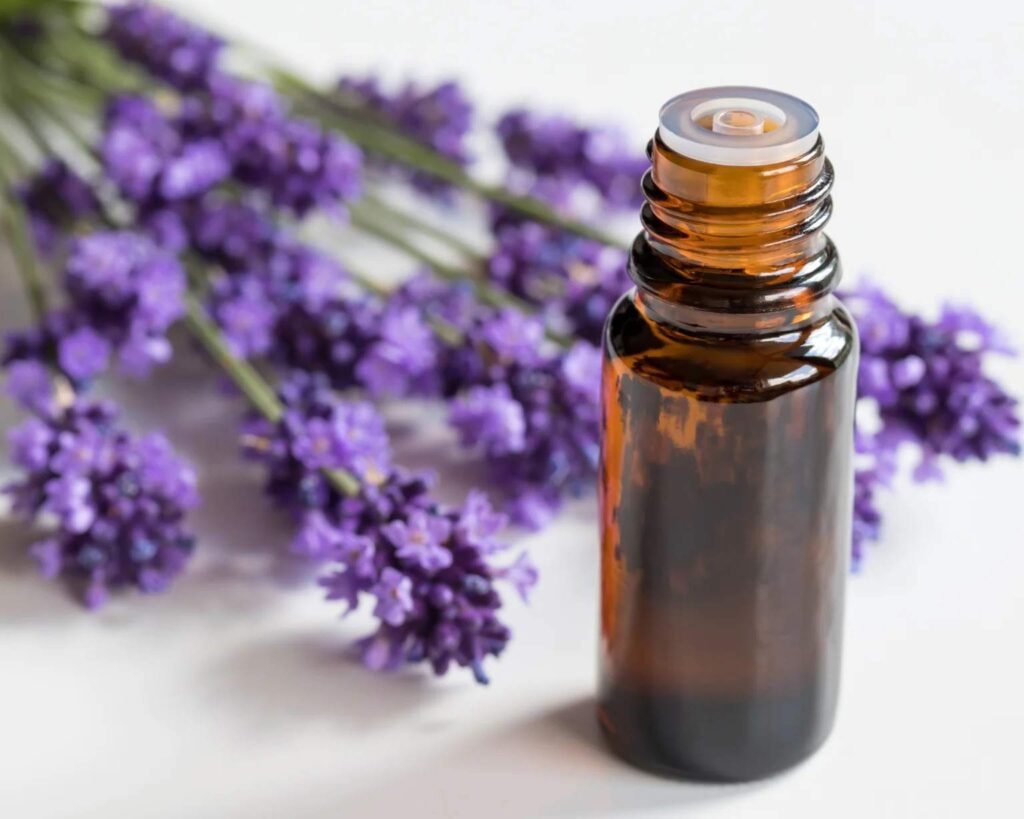Can Lavender Essential Oil Be Used on Dogs