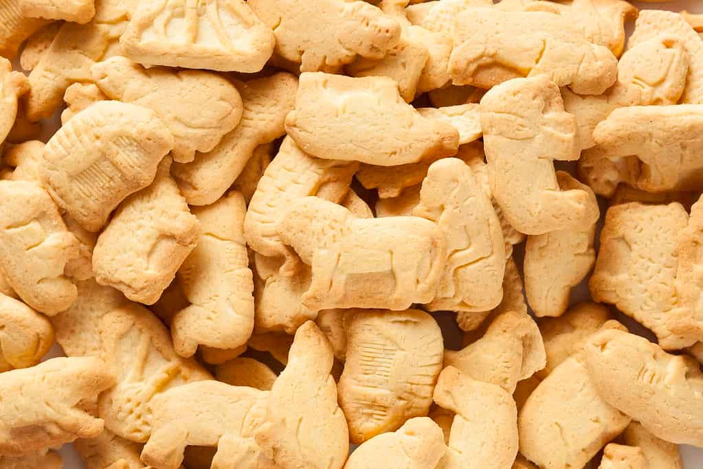Do Animal Crackers Have Xylitol
