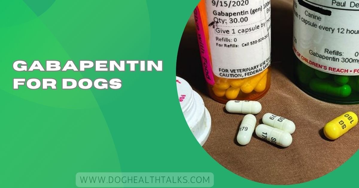 Gabapentin For Dogs