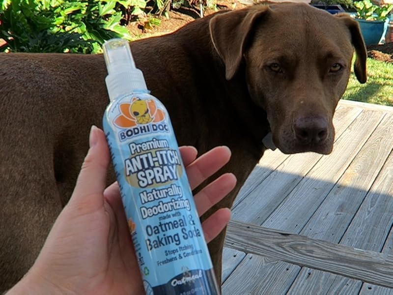 Homemade Dog Anti-Itch Spray