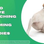 How To Relieve Dog Itching After Grooming Home Remedies
