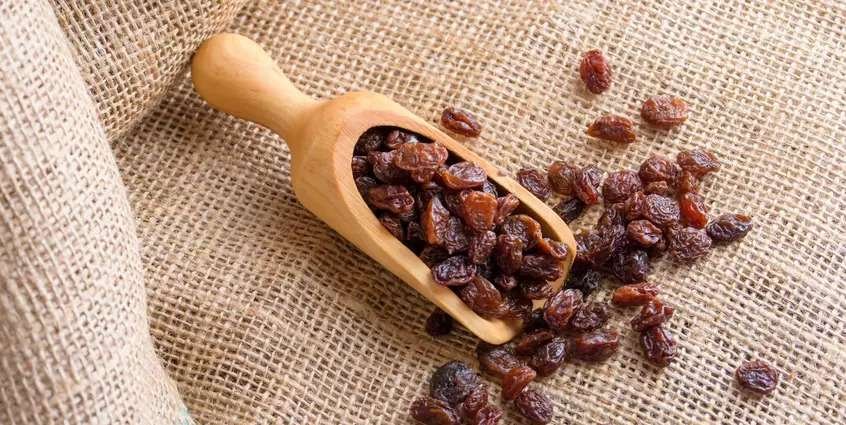 Why Raisin Toxicity Happens