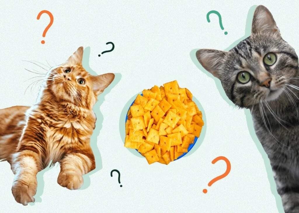 What Ingredients Are in Crackers?