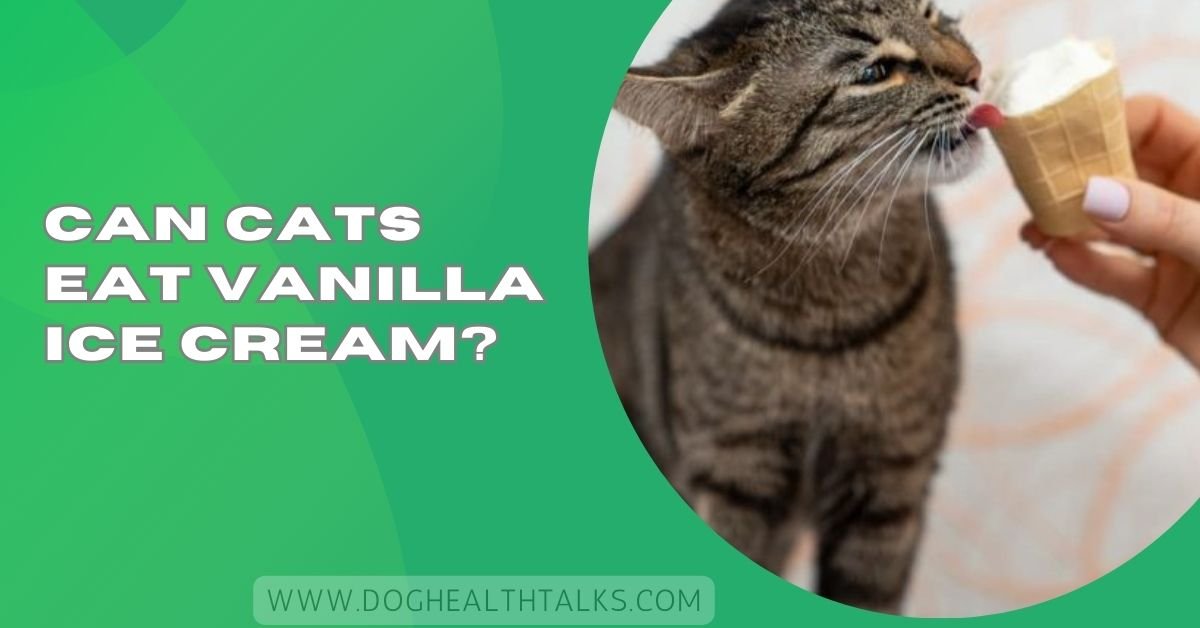 Can Cats Eat Vanilla Ice Cream?