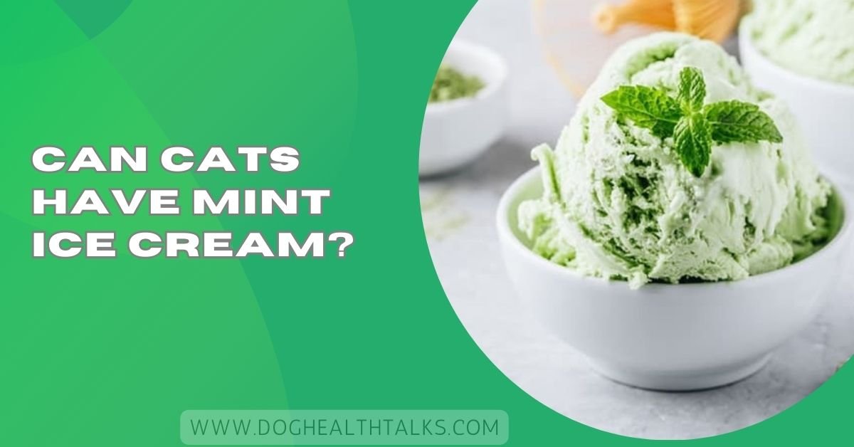 Can Cats Have Mint Ice Cream?