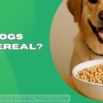 Can Dogs Eat Cereal?