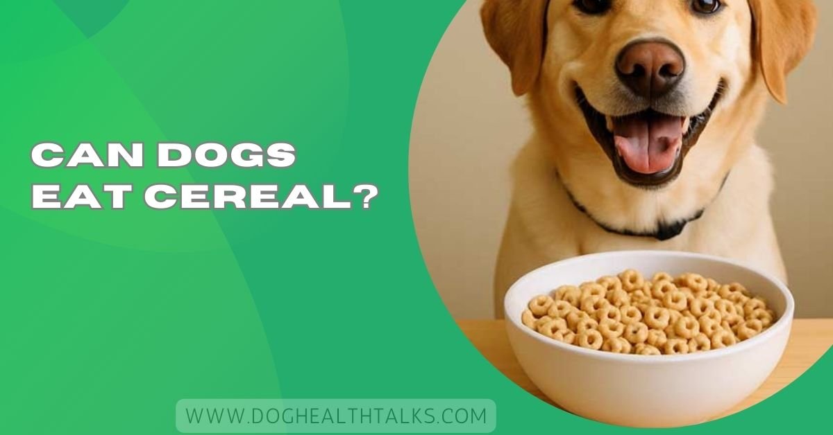 Can Dogs Eat Cereal? – A Vet-Reviewed Safety Guide (2026)