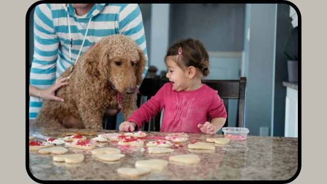 Can Dogs Eat Sugar Cookies