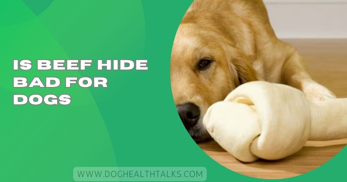 Is Beef Hide Bad For Dogs