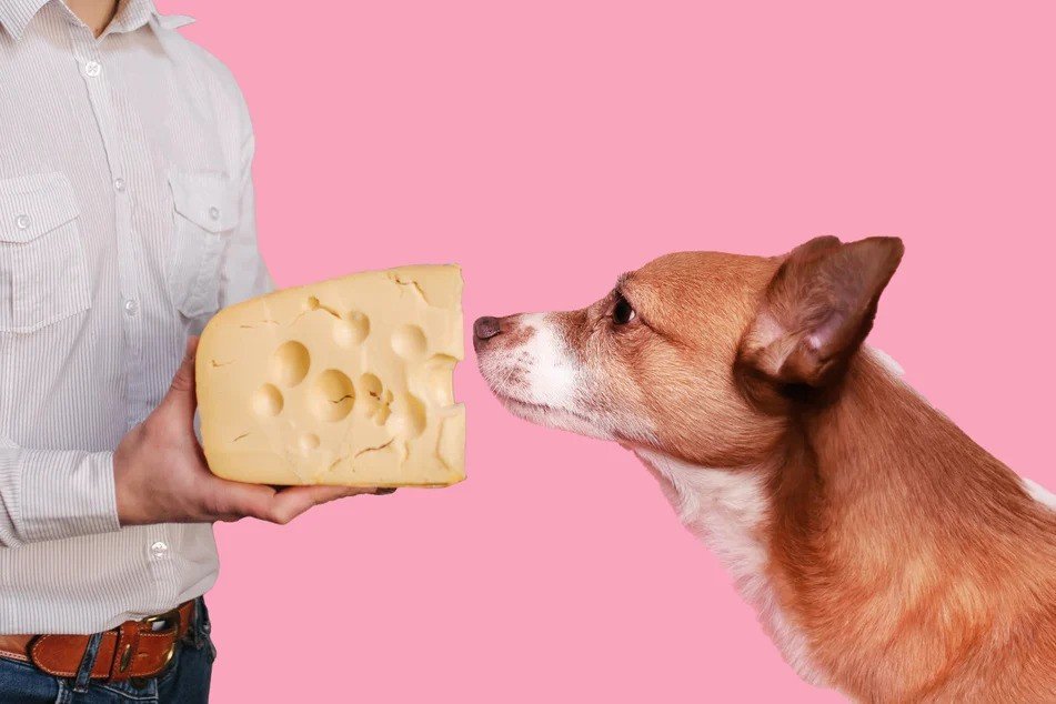 Nutritional Support in Small Amounts