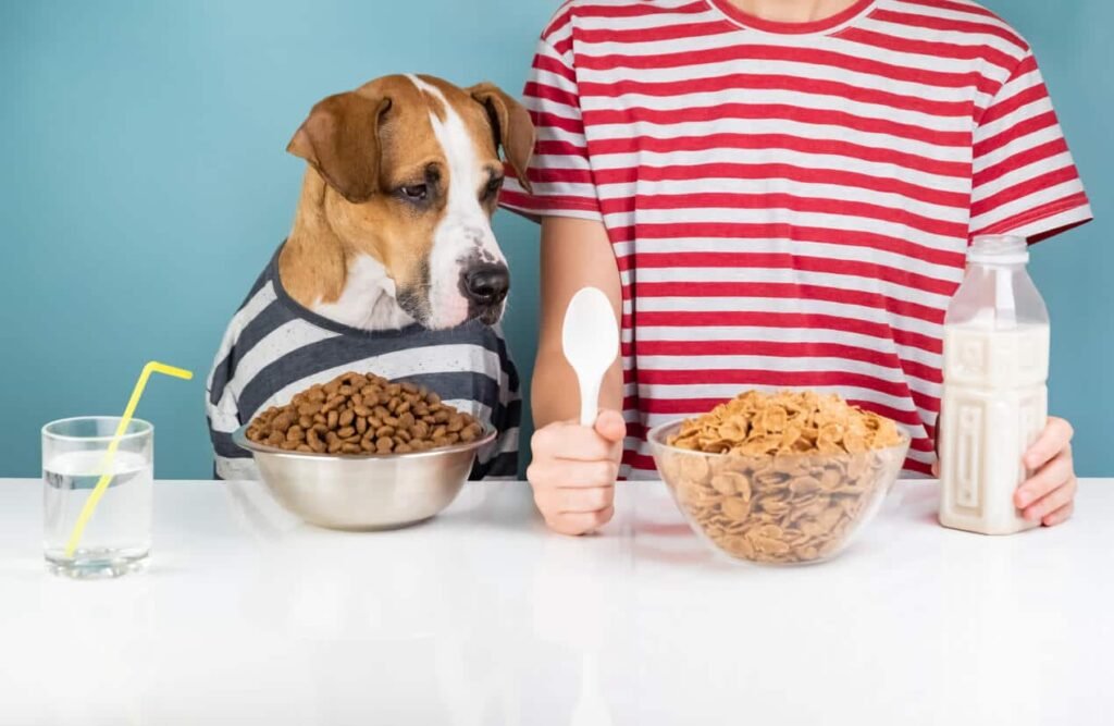 Why cereal isn’t “healthy” for dogs