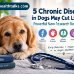 5 Chronic Diseases in Dogs May Cut Lifespan
