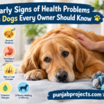 Health Problems in Dogs