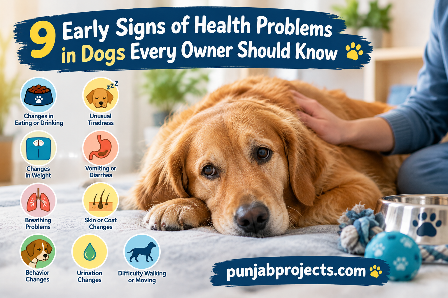 Health Problems in Dogs