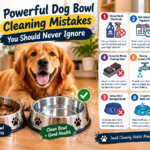 Dog Bowl Cleaning Mistakes
