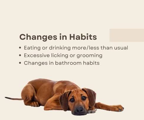 Changes in Eating or Drinking