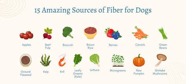 What Are Some Natural Sources of Fiber for Dogs?